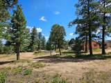 16633 Buena Vista Dr - Photo 43