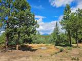 16633 Buena Vista Dr - Photo 44