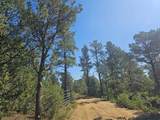 16633 Buena Vista Dr - Photo 47