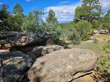 16633 Buena Vista Dr - Photo 8