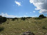  Greenhorn Village - Photo 8