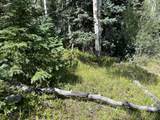 lot 12 Cuchara Mt Estates - Photo 10