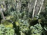 lot 12 Cuchara Mt Estates - Photo 16