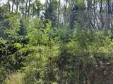 lot 12 Cuchara Mt Estates - Photo 22