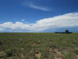  Cripple Creek Rd - Photo 5