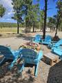 13534 Cedar Rd - Photo 12