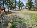 13534 Cedar Rd - Photo 14