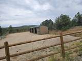 13534 Cedar Rd - Photo 17