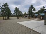 13534 Cedar Rd - Photo 19