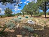13534 Cedar Rd - Photo 26