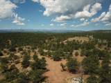 13534 Cedar Rd - Photo 31