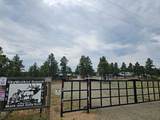 13534 Cedar Rd - Photo 35