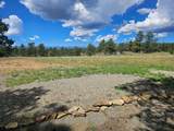 13534 Cedar Rd - Photo 8