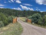 8250 La Belle Trail - Photo 2