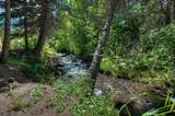 151 Aspen Rd - Photo 47