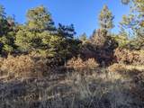 TBD Rancho La Garita Lot 175 - Photo 19