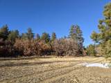 TBD Rancho La Garita Lot 175 - Photo 30
