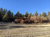 TBD Rancho La Garita Lot 175 - Photo 31