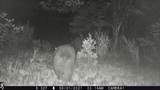 TBD Rancho La Garita Lot 175 - Photo 35