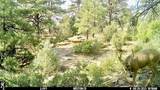 TBD Rancho La Garita Lot 175 - Photo 36