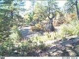TBD Rancho La Garita Lot 175 - Photo 40