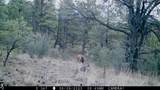TBD Rancho La Garita Lot 175 - Photo 41