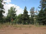 2348 Benton Place - Photo 37