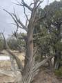 TBD County Rd 78.0 - Photo 11