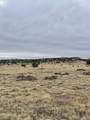 TBD County Rd 78.0 - Photo 3