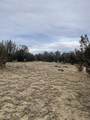 TBD County Rd 78.0 - Photo 8