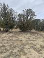 TBD County Rd 78.0 - Photo 9