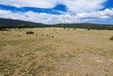 TBD Co Rd 634 - Photo 11
