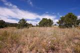 TBD Co Rd 634 - Photo 15