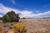 TBD Co Rd 634 - Photo 16