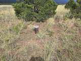 TBD Co Rd 634 - Photo 2