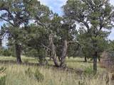 TBD Co Rd 634 - Photo 34