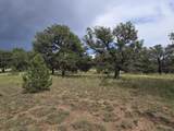 TBD Co Rd 634 - Photo 35