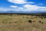 TBD Co Rd 634 - Photo 4