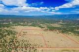 TBD Co Rd 634 - Photo 5