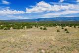 TBD Co Rd 634 - Photo 7