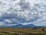 255 Colorado Land & Livestock - Photo 5
