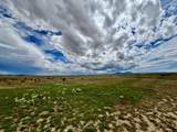 255 Colorado Land & Livestock - Photo 6