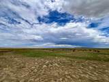 255 Colorado Land & Livestock - Photo 7