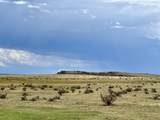 255 Colorado Land & Livestock - Photo 8