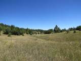TBD County Rd 54.2 - Photo 12