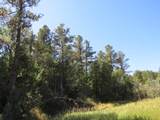 TBD County Rd 54.2 - Photo 16