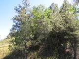 TBD County Rd 54.2 - Photo 17