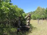 TBD County Rd 54.2 - Photo 21