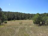 TBD County Rd 54.2 - Photo 7