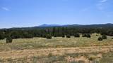 29780 Co Rd 16 - Photo 1